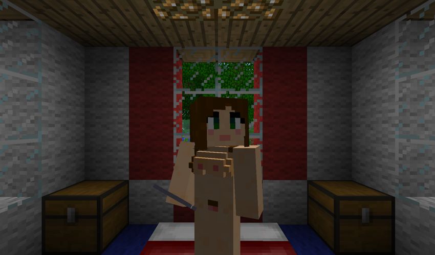 Minecraft numero d'image 120