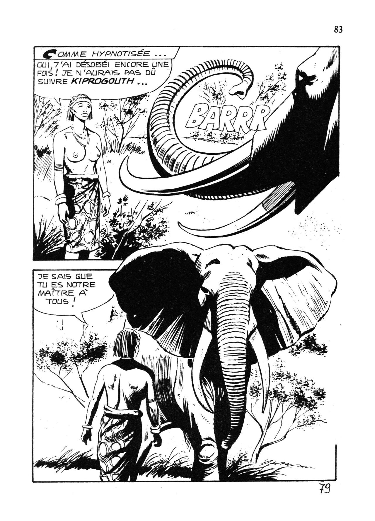 Série Jaune 048 - Léléphant blanc numero d'image 82