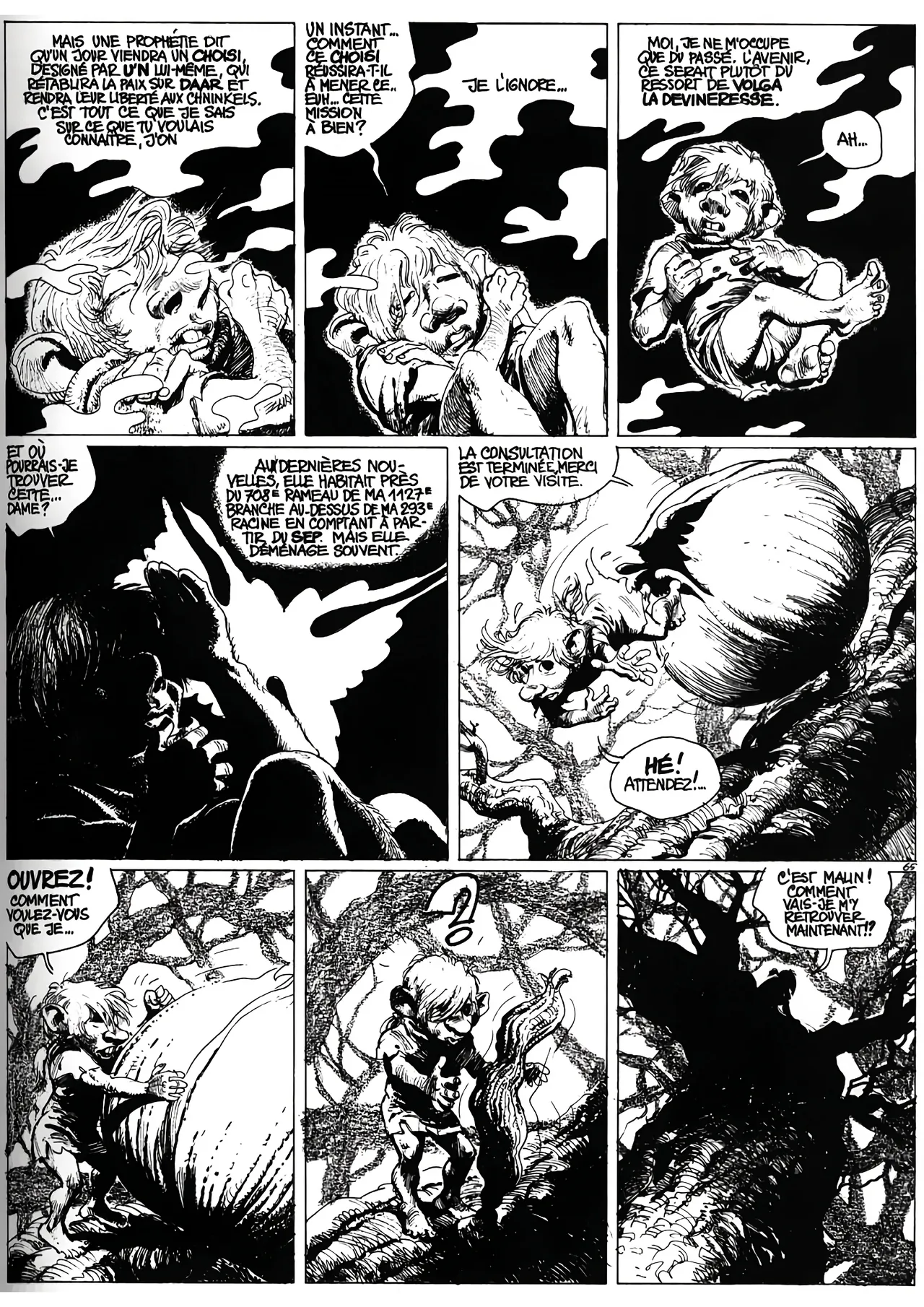Le Grand Pouvoir du Chninkel numero d'image 71
