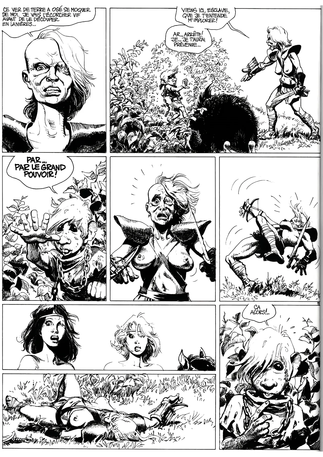 Le Grand Pouvoir du Chninkel numero d'image 22