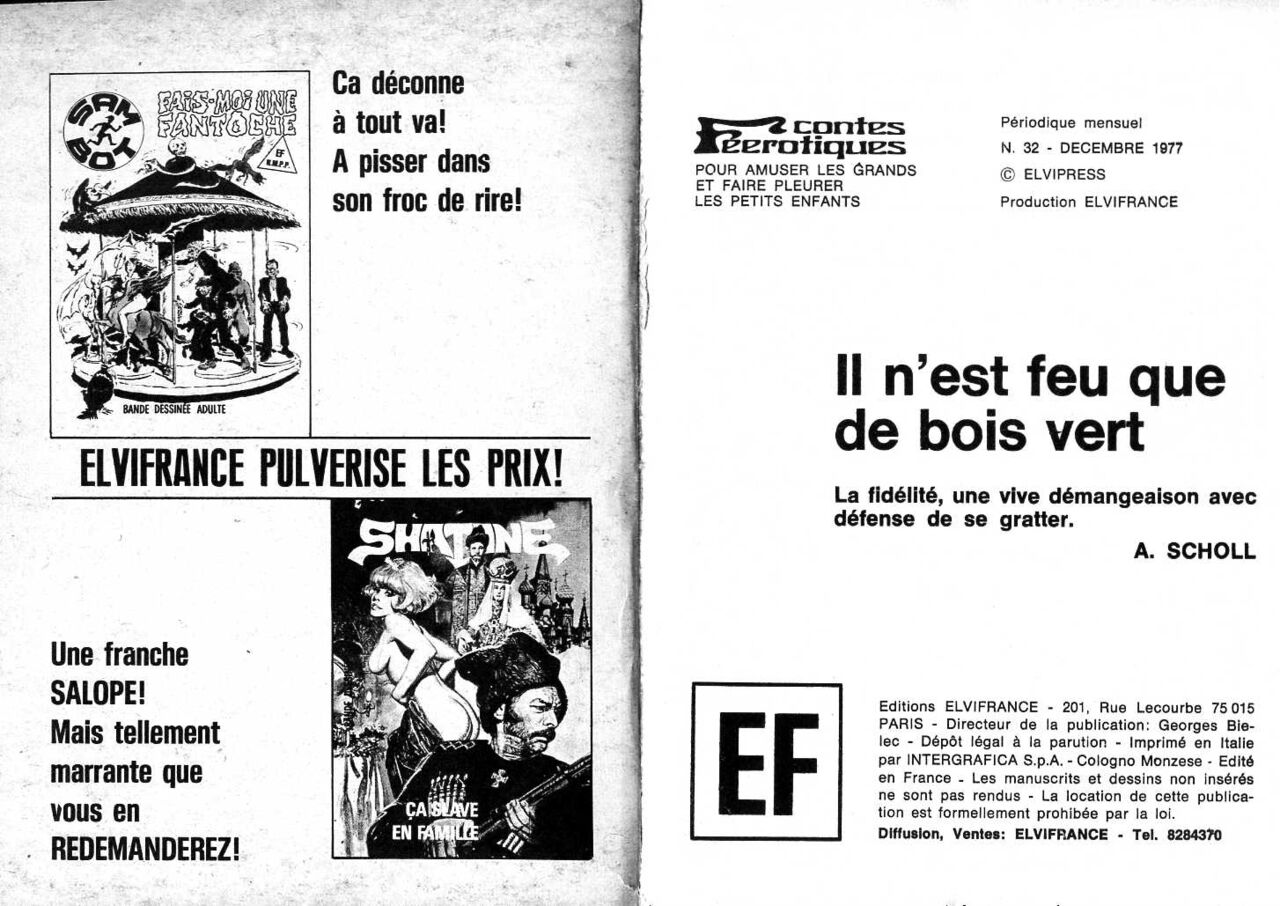 Elvifrance - Contes féérotiques 32 - Il nest feu que de bois vert numero d'image 1