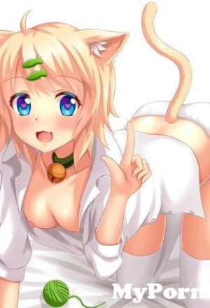 Animal -> felin