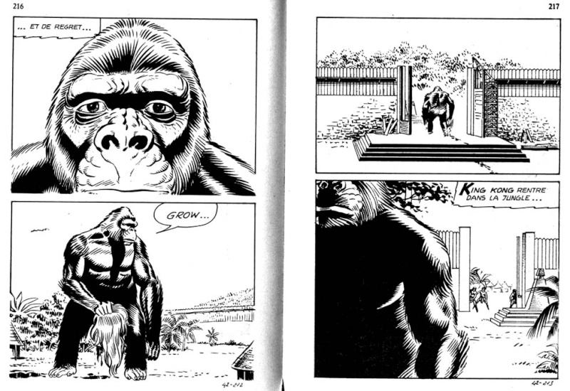 Le King kong numero d'image 88