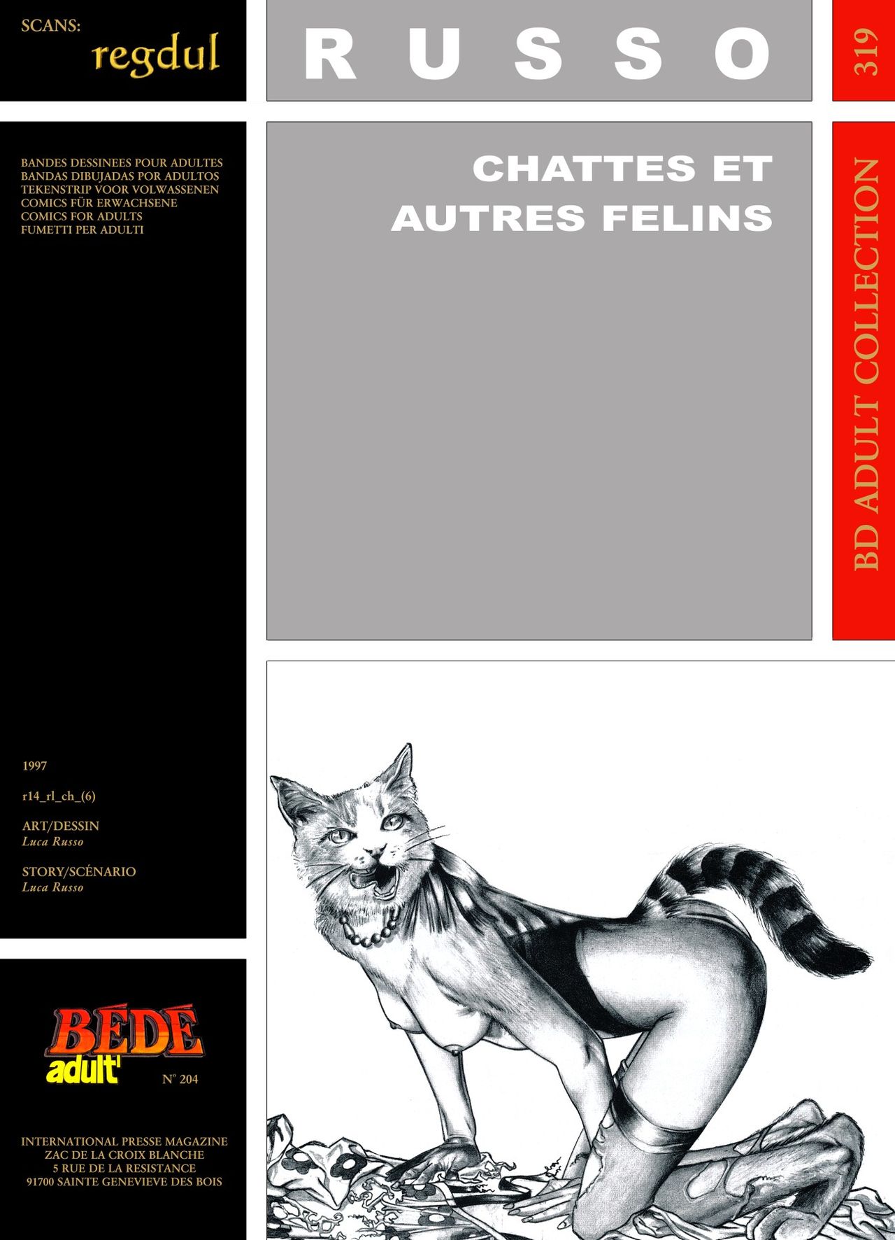 Chattes et autres felins