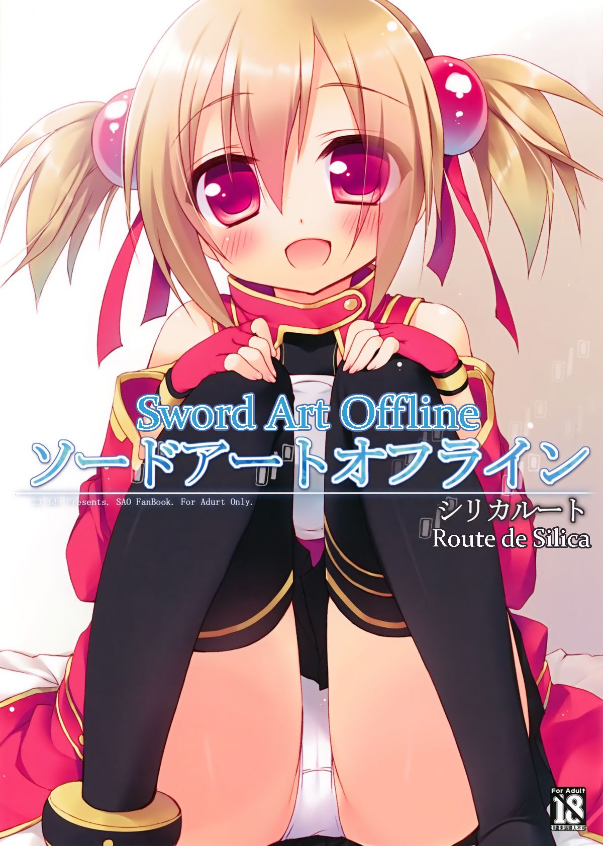 Sword Art Offline -Silica Route-