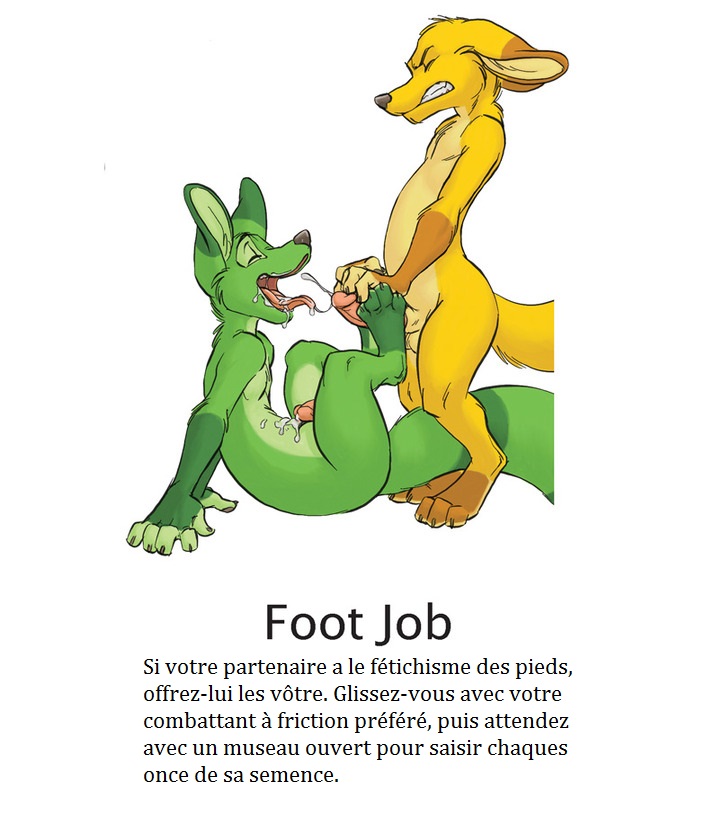 Yaoi furry kamasutra numero d'image 9