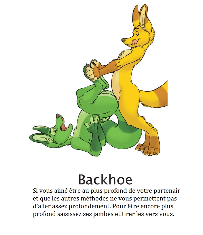 Yaoi furry kamasutra numero d'image 10