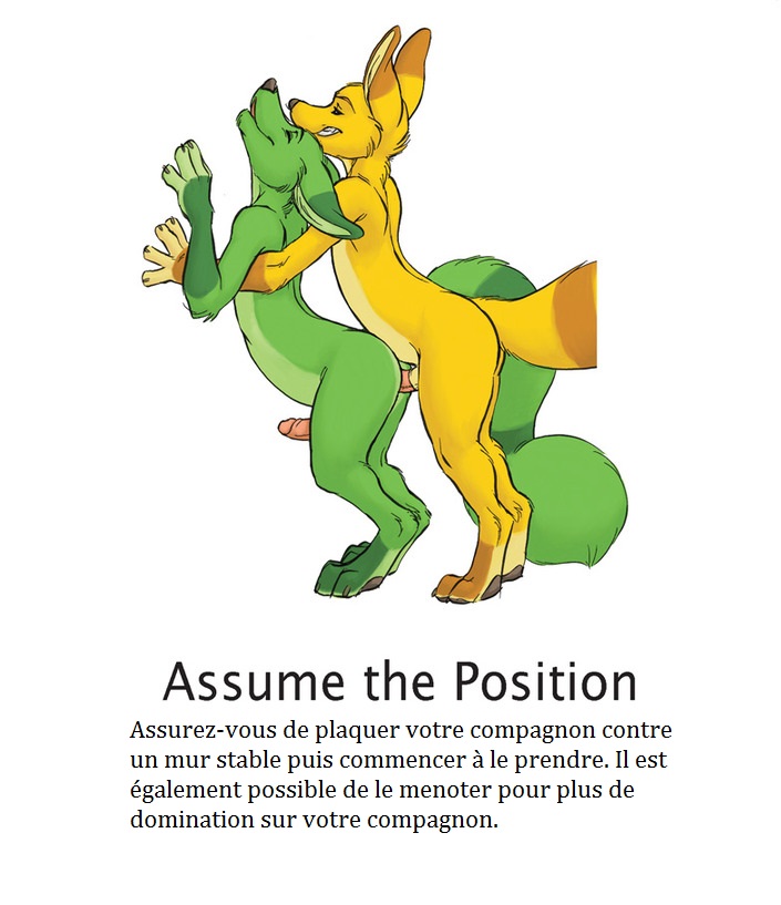 Yaoi furry kamasutra numero d'image 15