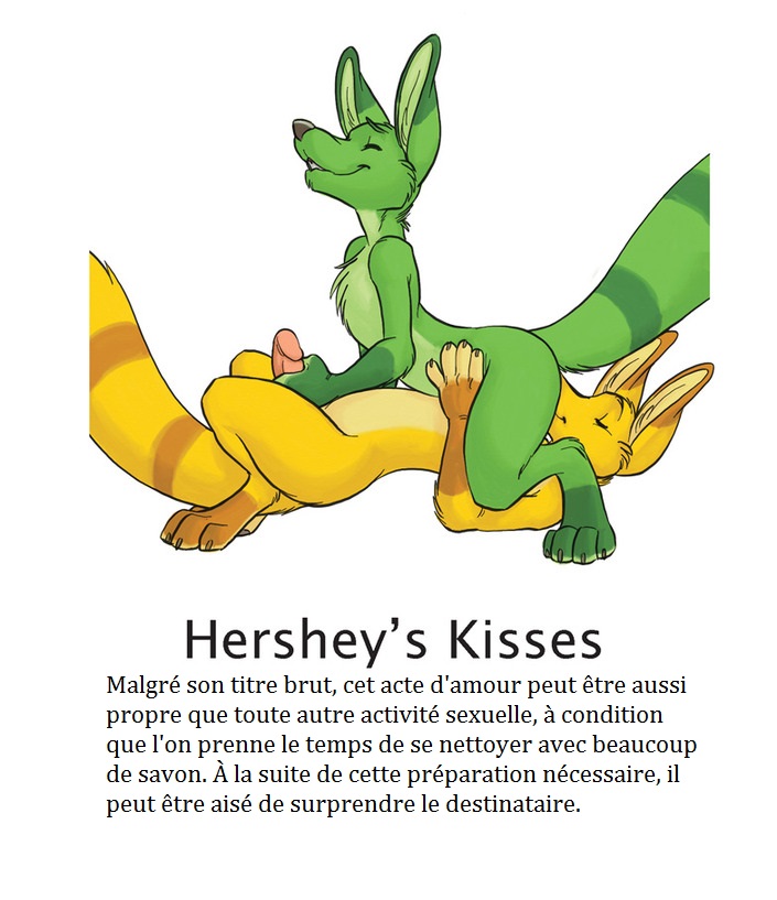 Yaoi furry kamasutra numero d'image 19