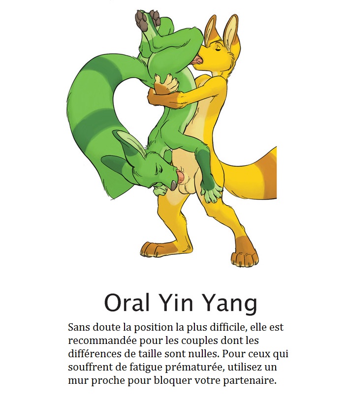 Yaoi furry kamasutra numero d'image 4