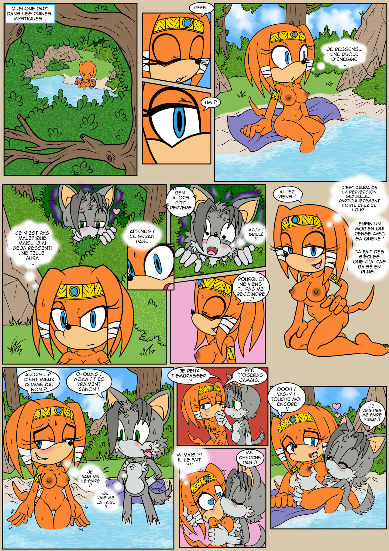 Naiars Misadventures - Chapitre 1 - Tikal the Echidna  FRANCAIS numero d'image 1