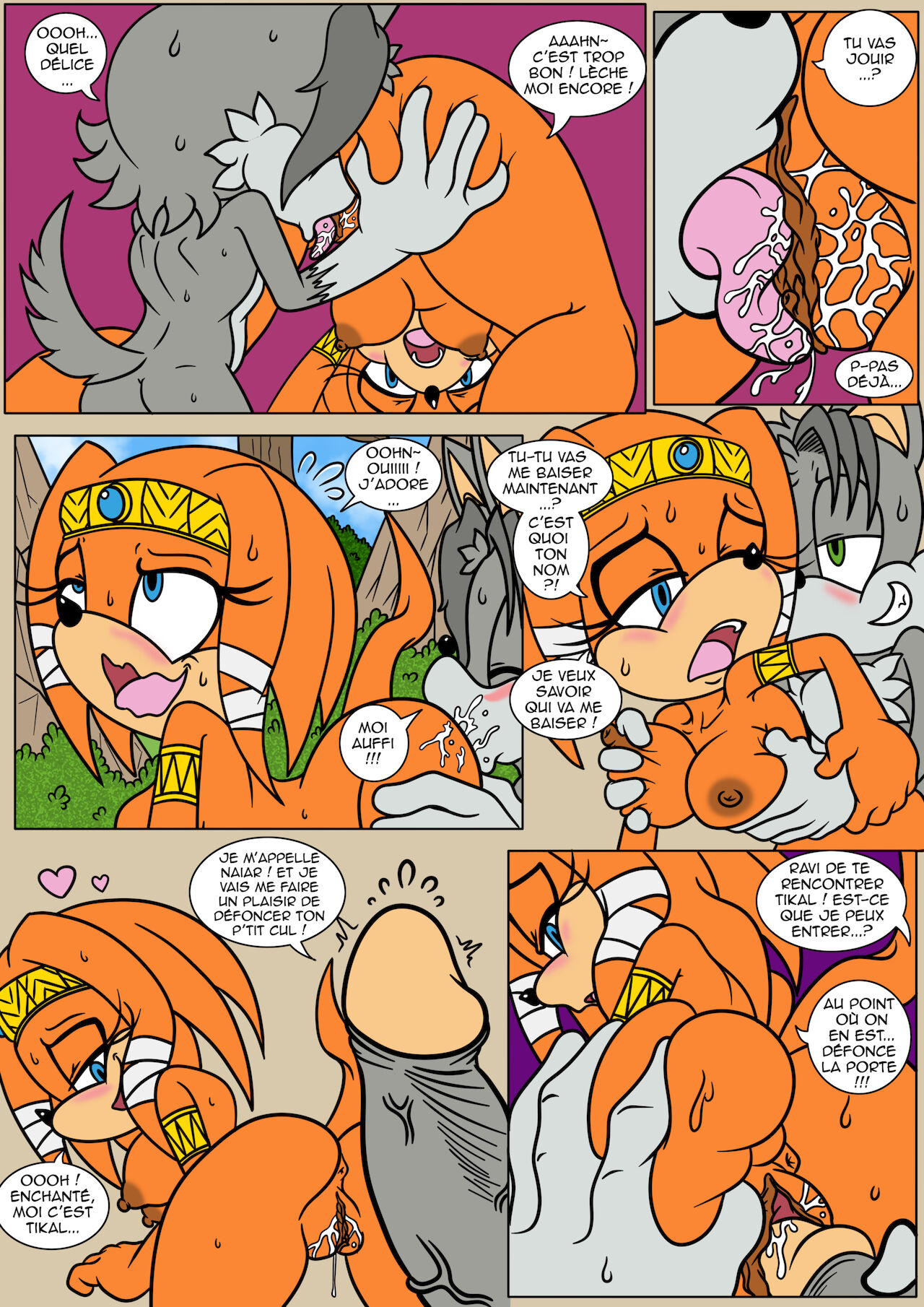 Naiars Misadventures - Chapitre 1 - Tikal the Echidna  FRANCAIS numero d'image 3