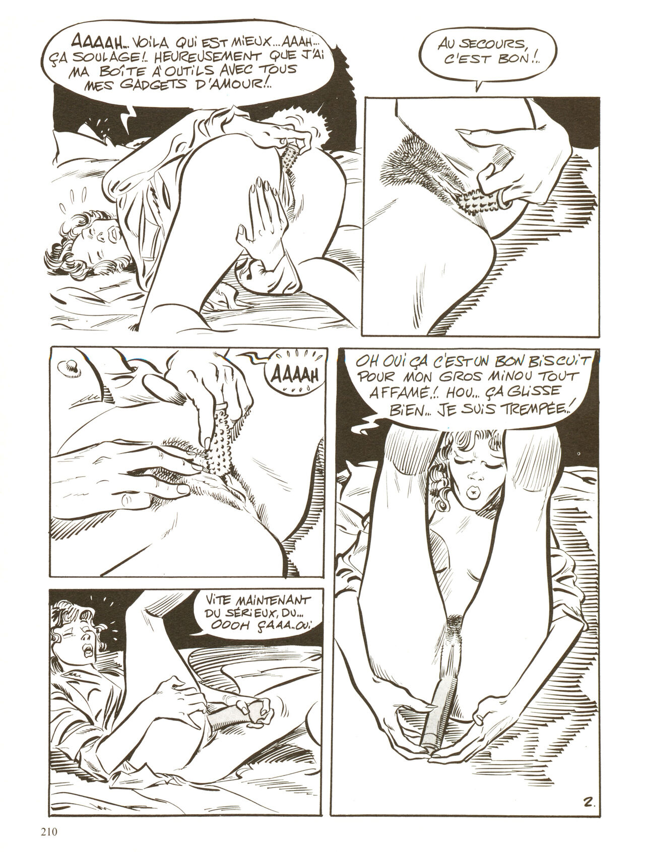 Les chefs-doeuvre de la bande dessinée érotique_Volume 01 numero d'image 203