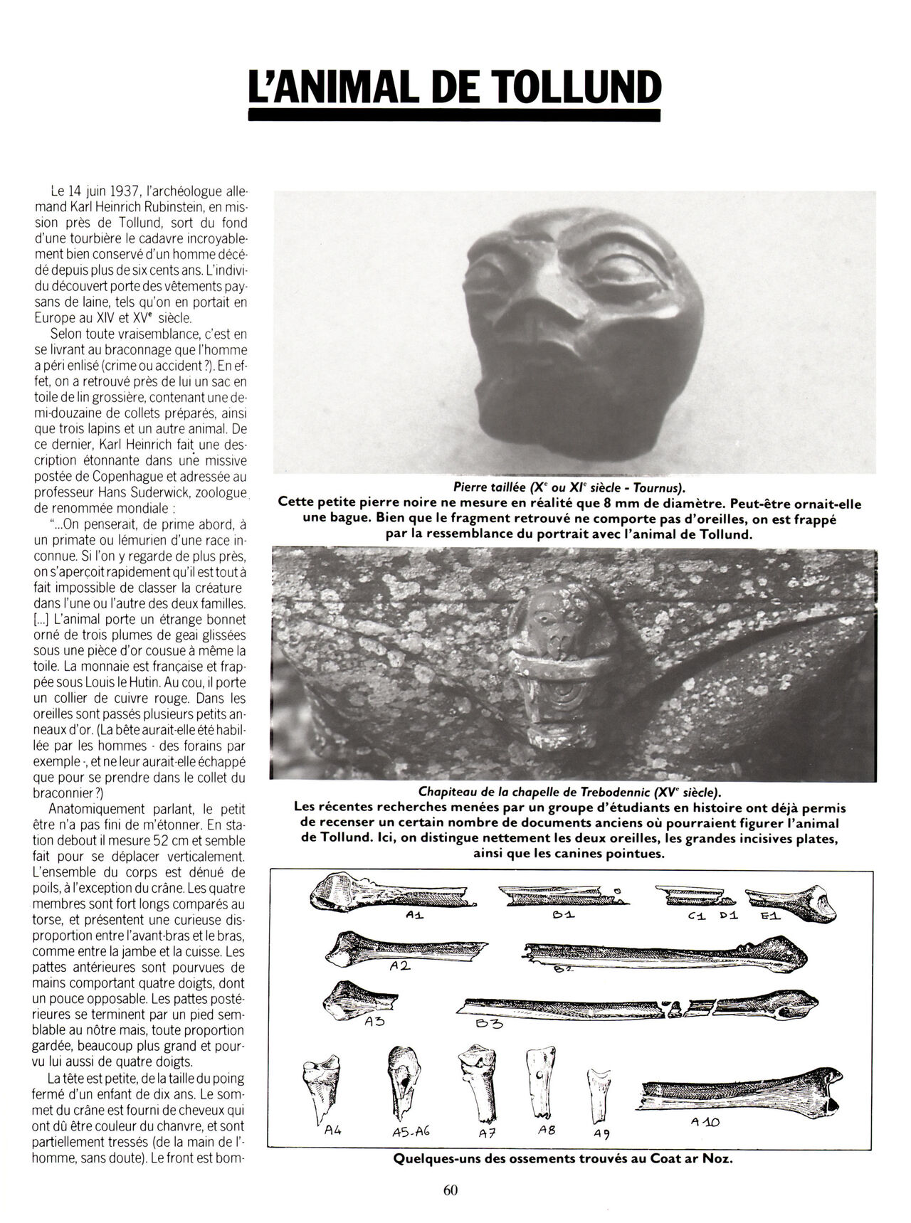 Les compagnons du crépuscule T1 Le sortilège du bois des brumes numero d'image 60