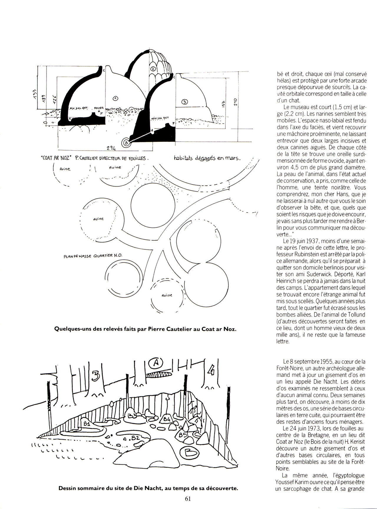Les compagnons du crépuscule T1 Le sortilège du bois des brumes numero d'image 61