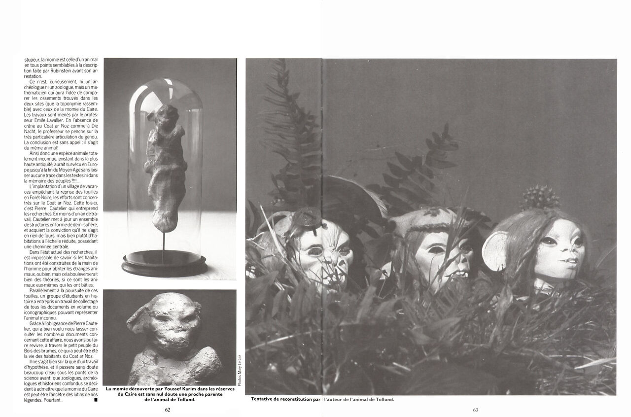 Les compagnons du crépuscule T1 Le sortilège du bois des brumes numero d'image 63