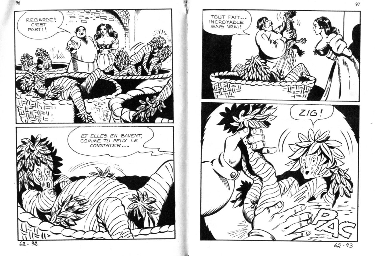 PFA - Maghella 62 Digitaline numero d'image 44