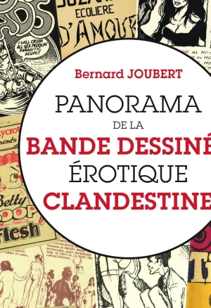 Panorama de la bande dessinee erotique clandestine
