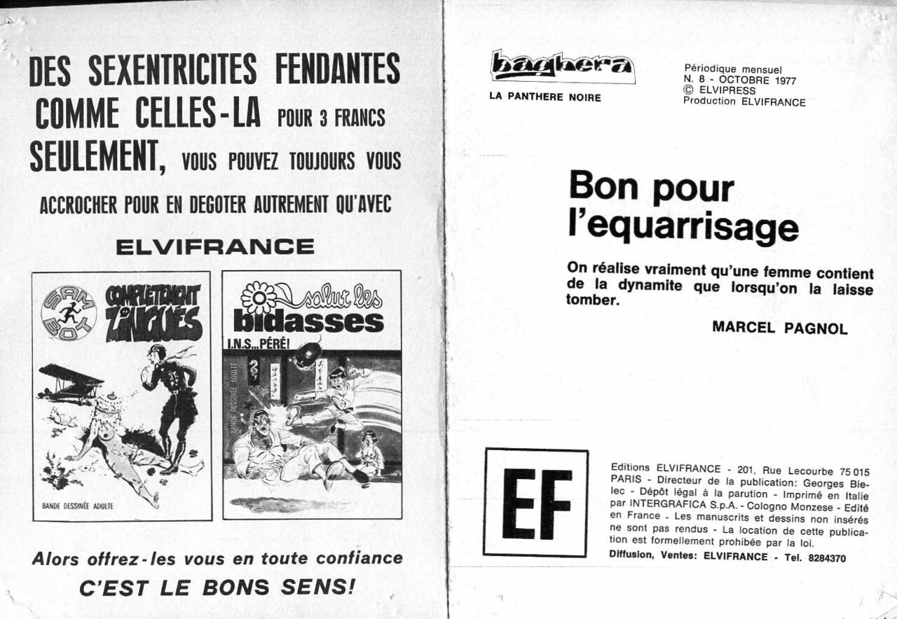 PFA - Elvifrance - Baghera 8 Bon pour lequarrissage numero d'image 1