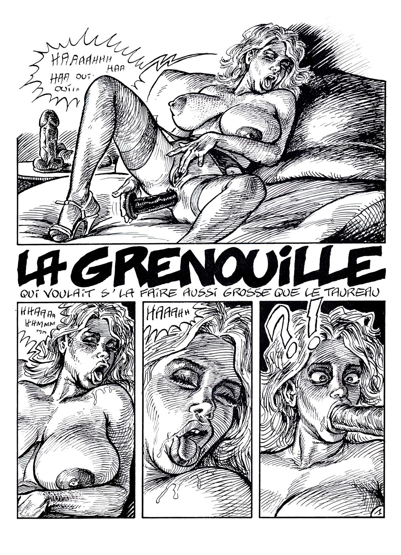 La grenouille numero d'image 1