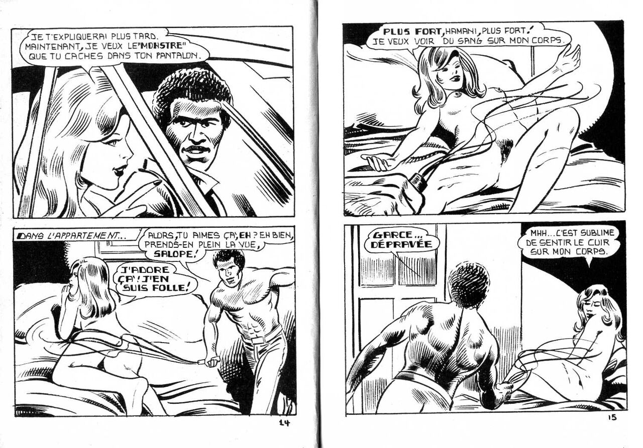 PFA - Eros négro 2 La garce ! numero d'image 8